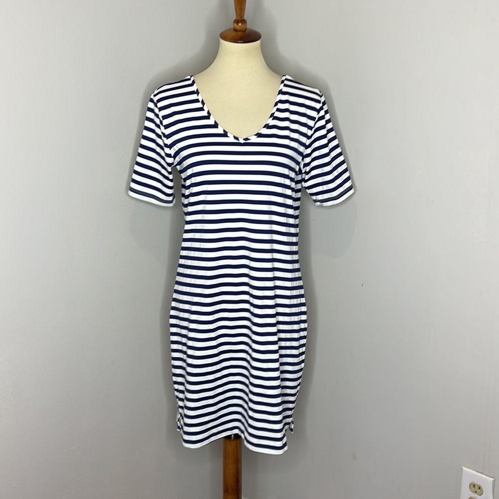 Dudley Stephens Stretch Blue White Stripe Dress